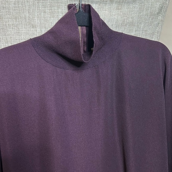 Aritzia Babaton Hamish Mock Neck Oversized
Bat Wing Dolman Sleeve Blouse Purple - Picture 3 of 16